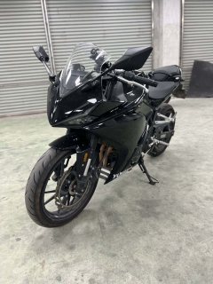 Kayo 250RR Thornbird - фото 4