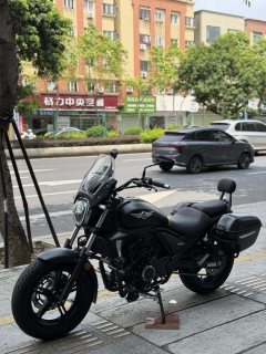 Haojue TR300 - ფოტო 8