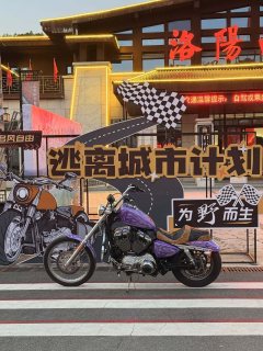 SHINERAY 12,200 1200 cc - ფოტო 2