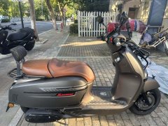Weiduoliya Sixties 250Si - ფოტო 3