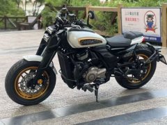 Cyclone AQS401 400 cc - ფოტო 6