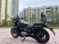 Voge CU250 - фото 6