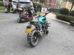 Kayo Cobra 321R 320 cc - ფოტო 3