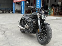 Benda Polestones 03 Gray 300 cc - ფოტო 1