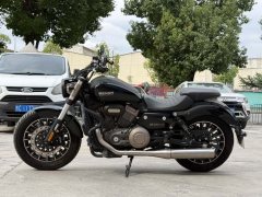 Benda Polestones 03 Gray 300 cc - ფოტო 6