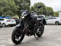 Yamaha MT-03 320 cc - ფოტო 3