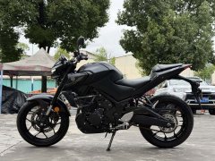 Yamaha MT-03 320 cc - ფოტო 6