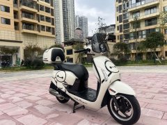 Sundiro Honda NS125LA - ფოტო 2