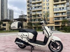 Sundiro Honda NS125LA - ფოტო 3