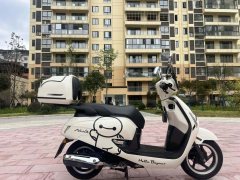 Sundiro Honda NS125LA - ფოტო 4