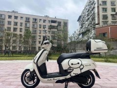 Sundiro Honda NS125LA - ფოტო 7