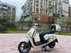 Sundiro Honda NS125LA - ფოტო 8