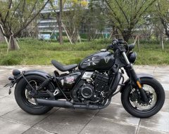 Changjiang Bobbie 400 II - photo 2