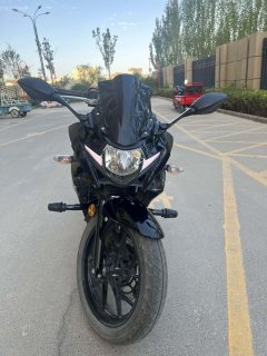 Haojue Suzuki GSX250R - ფოტო 1