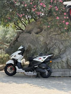 Sundiro Honda NS125RX - ფოტო 8