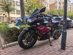 Haojue Suzuki GSX250R - photo 3