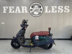 Weiduoliya Sixties 150Si - ფოტო 3