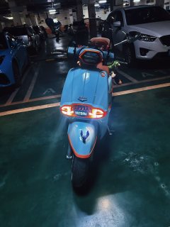 Weiduoliya Sixties 250Si - ფოტო 3