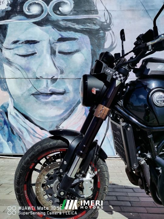 2019 Benelli Lion Cub Leoncino 500