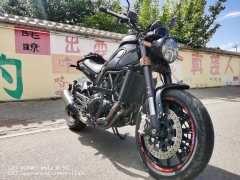 Benelli Lion Cub Leoncino 500 - ფოტო 3