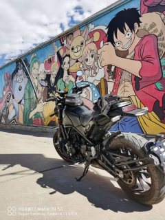 Benelli Lion Cub Leoncino 500 - ფოტო 4
