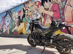 Benelli Lion Cub Leoncino 500 - ფოტო 5