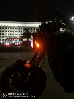 Benelli Lion Cub Leoncino 500 - ფოტო 9