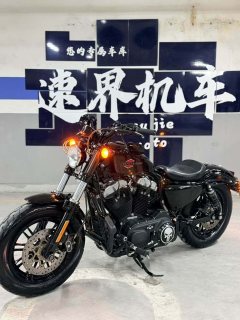 Harley-Davidson Forty-Eight athlete 1202 cc - фото 3