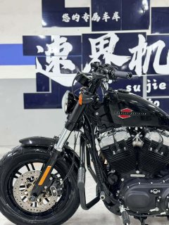 Harley-Davidson Forty-Eight athlete 1202 cc - фото 5