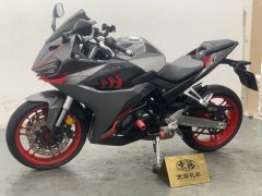 Cyclone RC401 400 cc - ფოტო 1