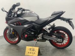 Cyclone RC401 400 cc - ფოტო 4