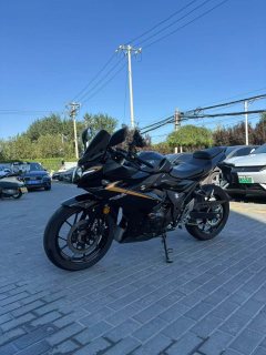 Haojue Suzuki GSX250R - ფოტო 3