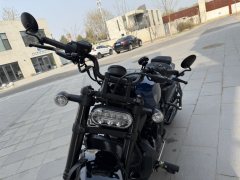 Harley-Davidson Sportster S 1250 cc - ფოტო 7