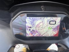 QJMOTOR Sai 600 680 cc - фото 8