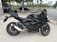 Haojue Suzuki GSX250R - фото 7