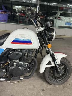 Yingang Super Mini 150 - photo 6