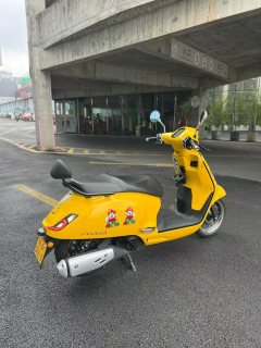 Sundiro Honda NS150LA - photo 4
