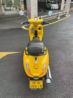 Sundiro Honda NS150LA - photo 5