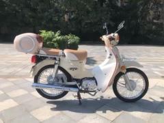 Luojia 110 cc - ფოტო 3