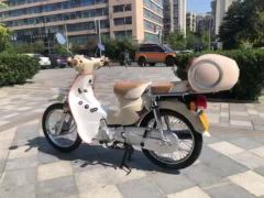 Luojia 110 cc - ფოტო 6