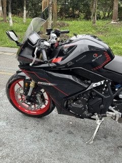 Kayo 321RR 320 cc - photo 7