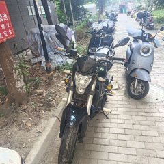 Benelli TNT 300 / BN 302S - photo 2