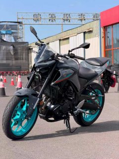 Yamaha MT-03 320 cc - ფოტო 5