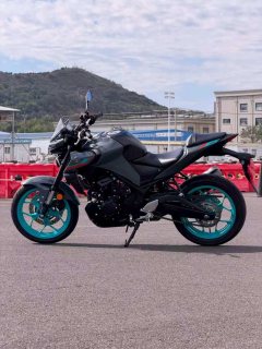 Yamaha MT-03 320 cc - ფოტო 6