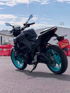 Yamaha MT-03 320 cc - ფოტო 7