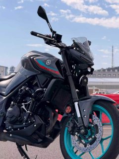 Yamaha MT-03 320 cc - ფოტო 9