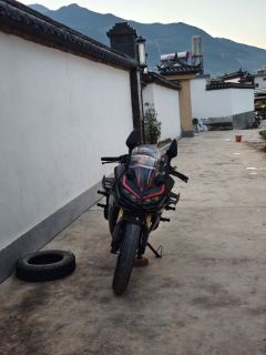 Voge 250RR - ფოტო 1