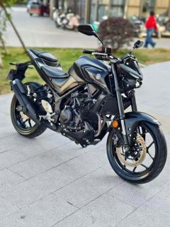 Yamaha MT-03 320 cc - ფოტო 3