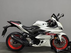Yamaha YZF-R3 320 cc - ფოტო 2