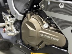 QJMOTOR Sai 550 - ფოტო 9